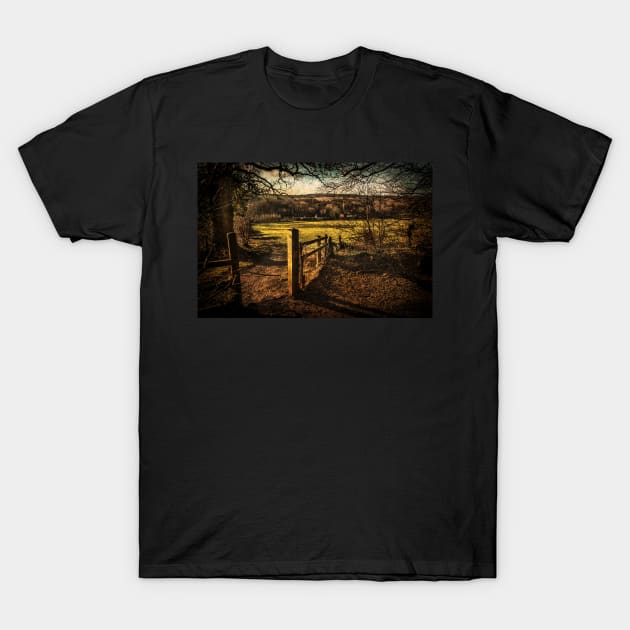 The Pang Valley from Sulham Woods T-Shirt by IanWL